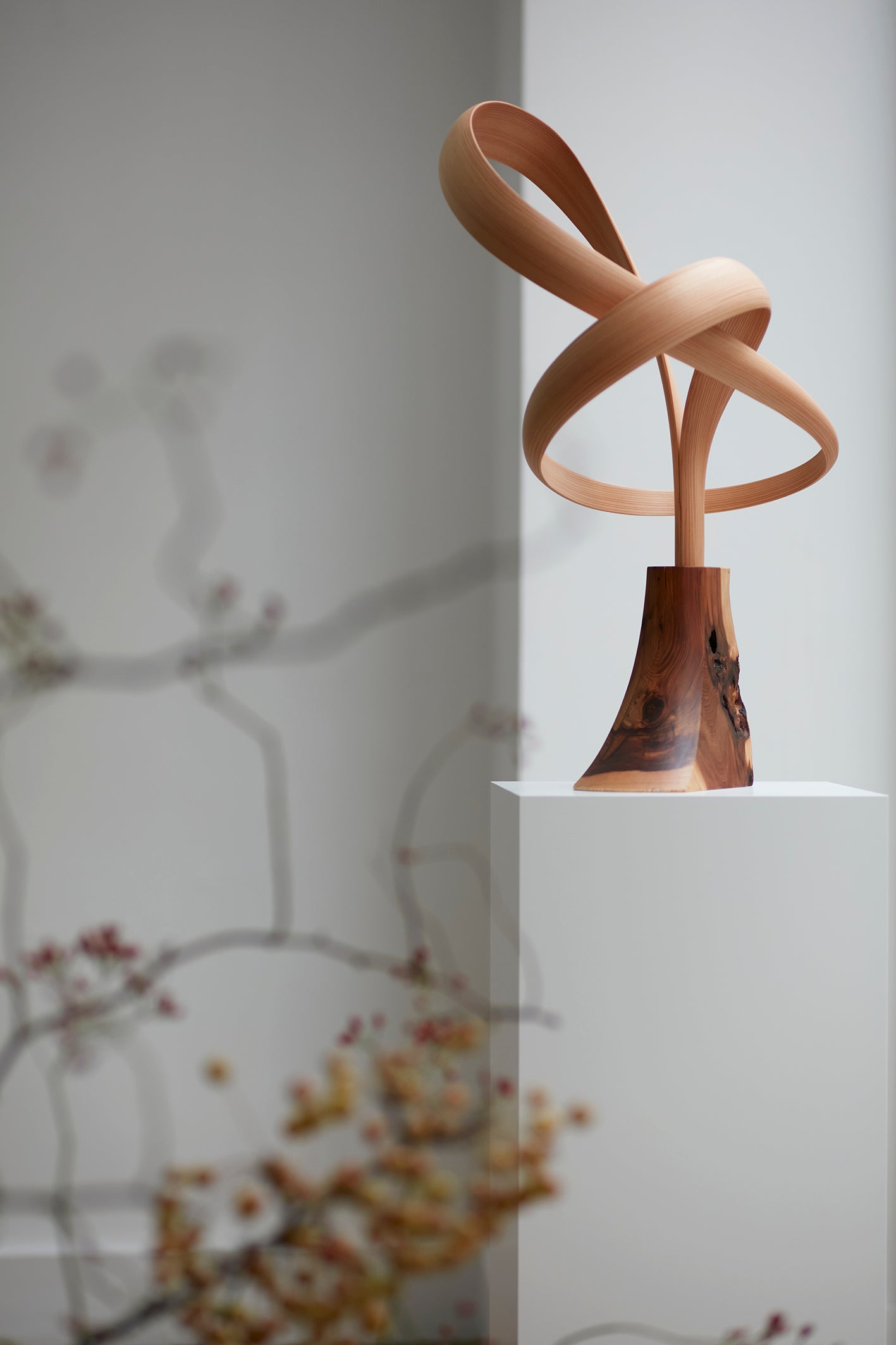 Exhibition view featuring work by Kenta Hirai