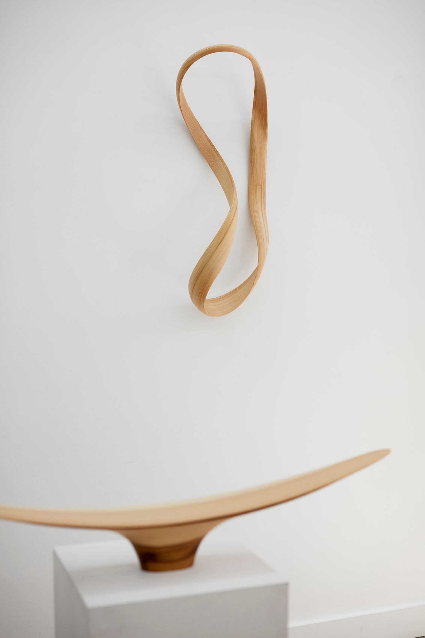 Exhibition view featuring works by Kenta Hirai